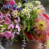 rachel's garden profile image