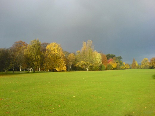 Coopers Field in autumn by Billysastard.com