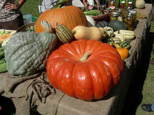 Some of the Autumn Fare grown by our locals.