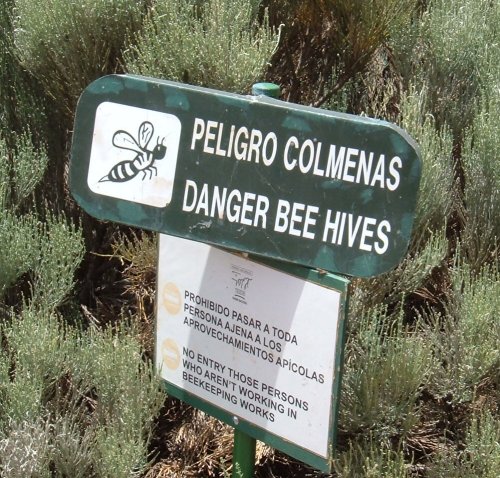 Warning for beehives