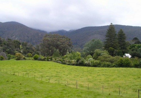 Typical South Coast scenery near Bega