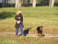 How to Train Your Dog to Come to You on Command