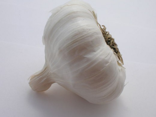  dangers of garlic in dogs,andalusia, morguefile.com