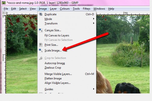 Scaling (Resizing) An Image in GIMP