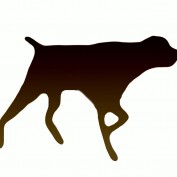 gigDoggy profile image