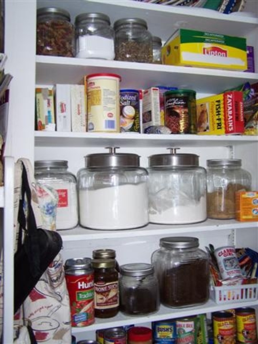How To Organize And Keep Pantry Clean Plus Keeping Bugs Out Of Food.