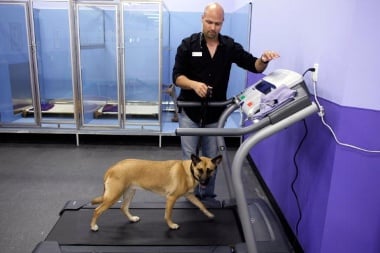 Home treadmill can be for everyone in the family. 