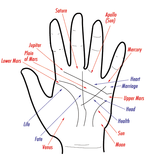 These are the widely recognized names for the various parts of the hand.