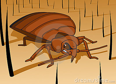 Avoid Bed Bugs before they begin to snack on you!