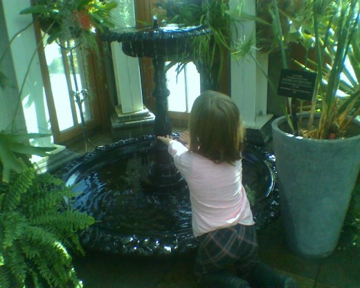 Delighting in the water flowing from the Victorian fountain in the Orangerie