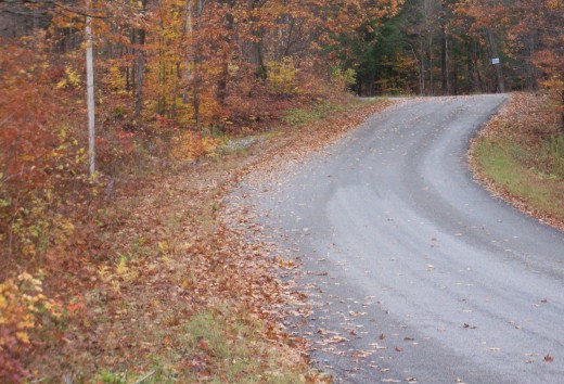 On the way to the village