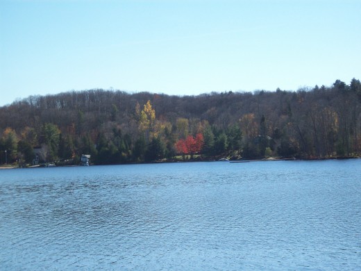 View from the deck