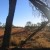 80kms east of Alice Springs