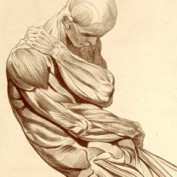 JHBenjamin1 profile image