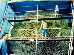 CRAFTSMEN in the City of San Fernando in Pampanga prepare one of eight giant lanterns that will compete in the 'Ligligan Parul' Festival on Dec. 21. A much bigger one is being considered for the Guinness Book of World Records.