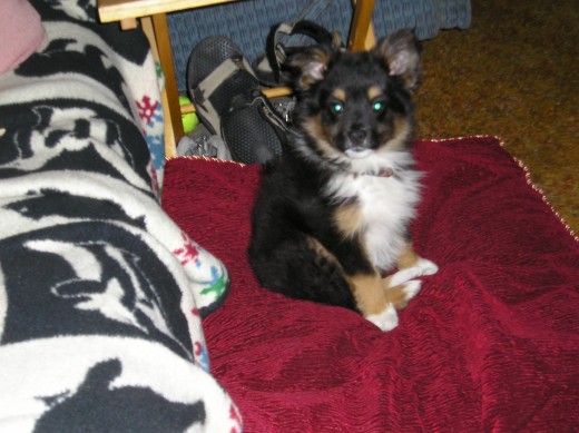 This is Harley.