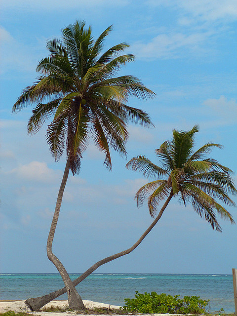 Fly to Belize City From the US