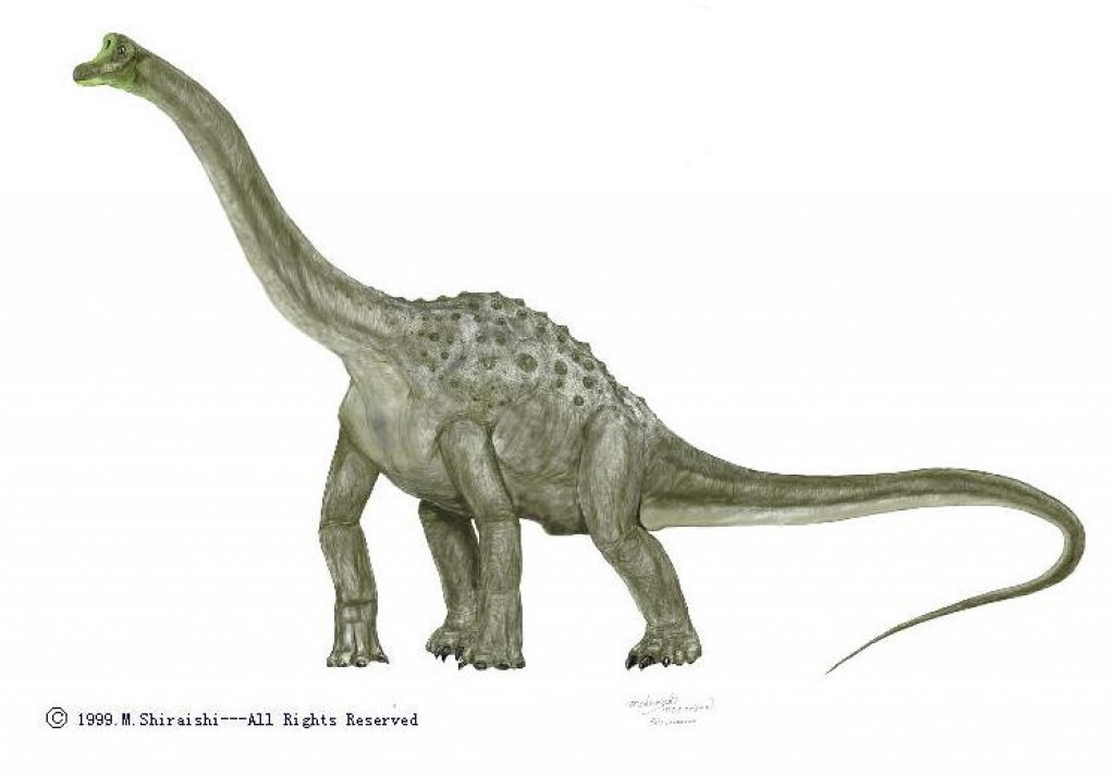 types of dinosaurs long neck