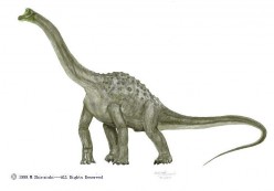 Prehistoric Long-Necked Dinosaurs