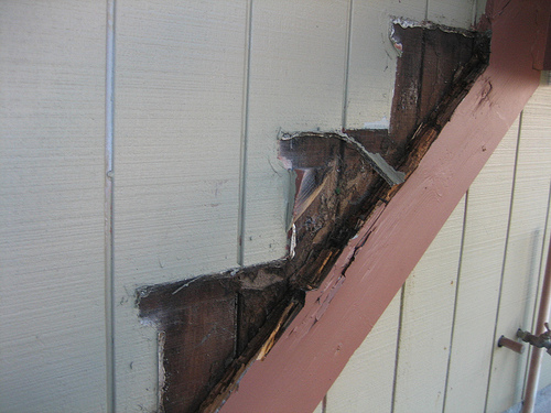 Dry rot in deck stairs spreading to other wood