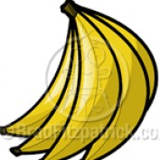 elmel84 profile image