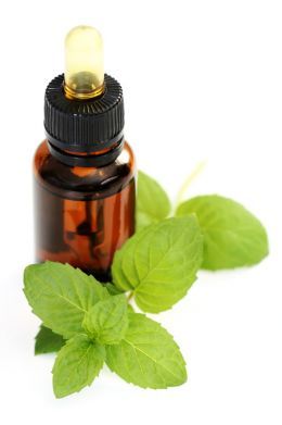 Refreshing and cool mint oil