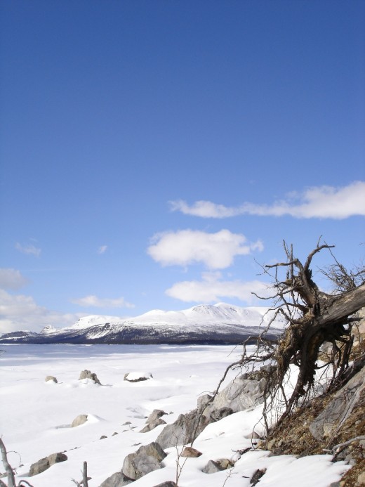 Sarek National Park