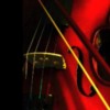 1st Violin profile image