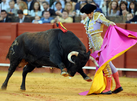 Bull-fighting, Spain