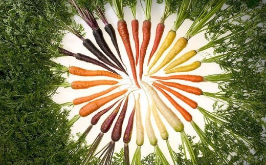 Popular image of a variety of colors and textures among carrots.