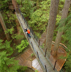 The Capilano tree-top adventure already exists and serves as a good prototype for similar eco-tourist projects for the future around the planet.