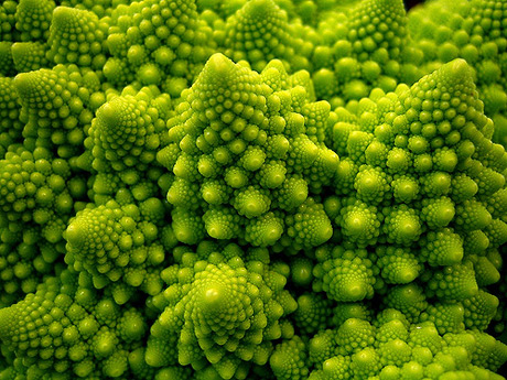 Natural fractals are all around us and are part of the natural order of the cosmos. Self similar recurrence is the order of the day for such phenomena. 