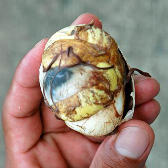 balut egg - a delicacy in Asia esp. Philippines, Vietnam, Cambodia and China 