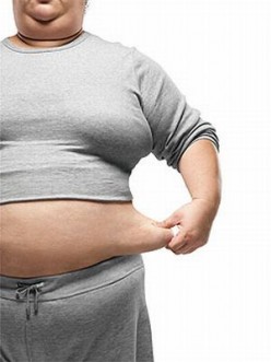 Herbal Remedies for Obesity