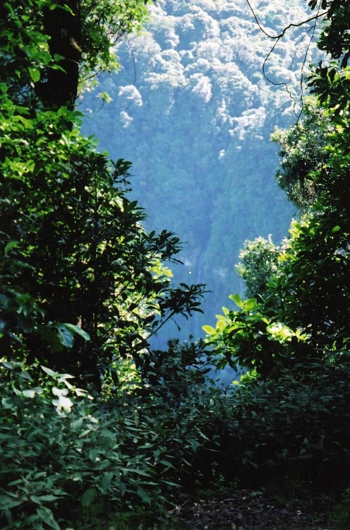 View from the car on the way up - a shear drop on either side.