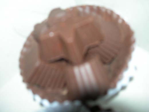 Molded Sugar-free Nut-filled Chocolate Candies