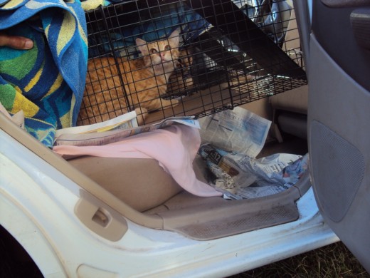 On his way to get his operation.