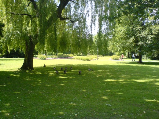 Park of Wickrath Castle, 6/2010 - ? 
