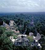 Tikal had an estimated 3000 buildings
