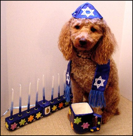 Happy Chanukah 