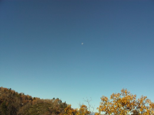 Here I see a glimpse of an almost half moon in the sky during the day.  I love how it looks in the bright blue sky with the trees and mountains below.