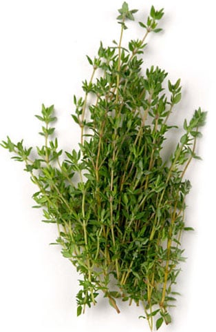 Thyme used for cooking