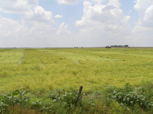 Great Plains, Oklahoma Great Plains, Oklahoma