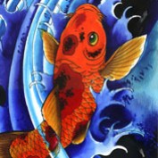 infokoi profile image