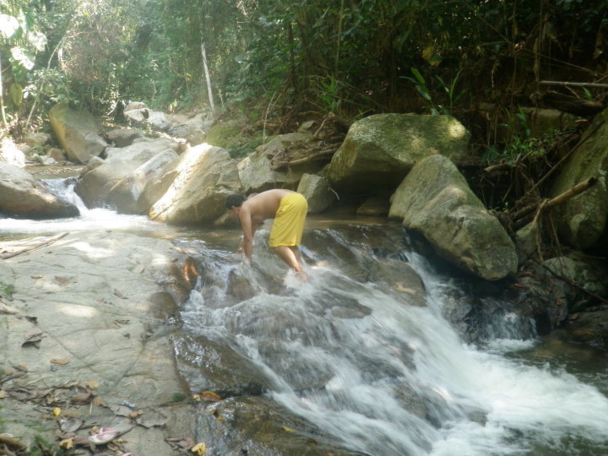Bathing in a gushing stream will cleanse your body, meditating by it will cleanse your spirit.