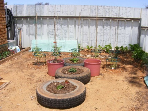 and a vegge garden out the back