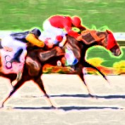 racing results profile image