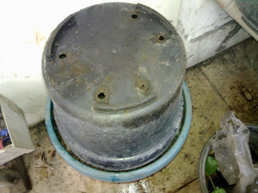 Put another pot which is put upside down to cover the composter.