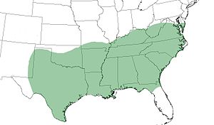 Find southern cooks of many influences in the green areas.