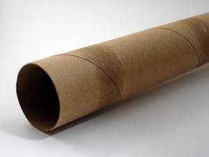 Paper towel tubes (2)